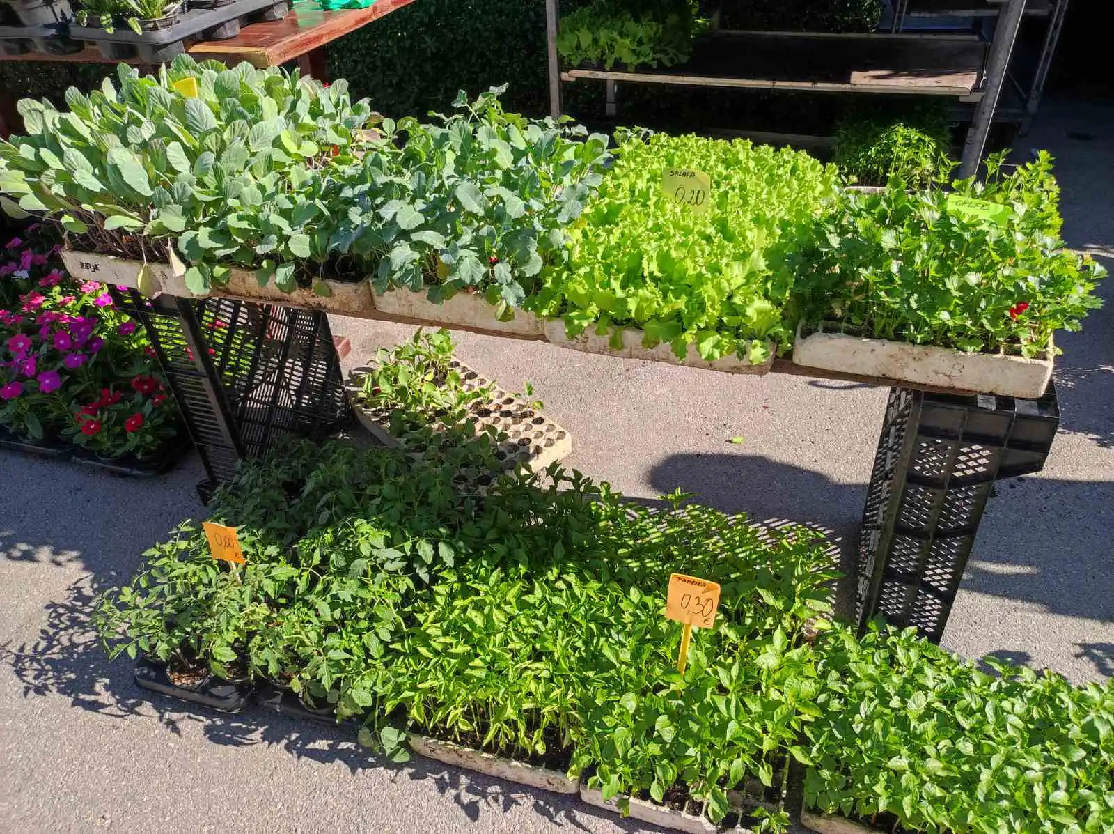 tržnica Prelog 11.5 (33)