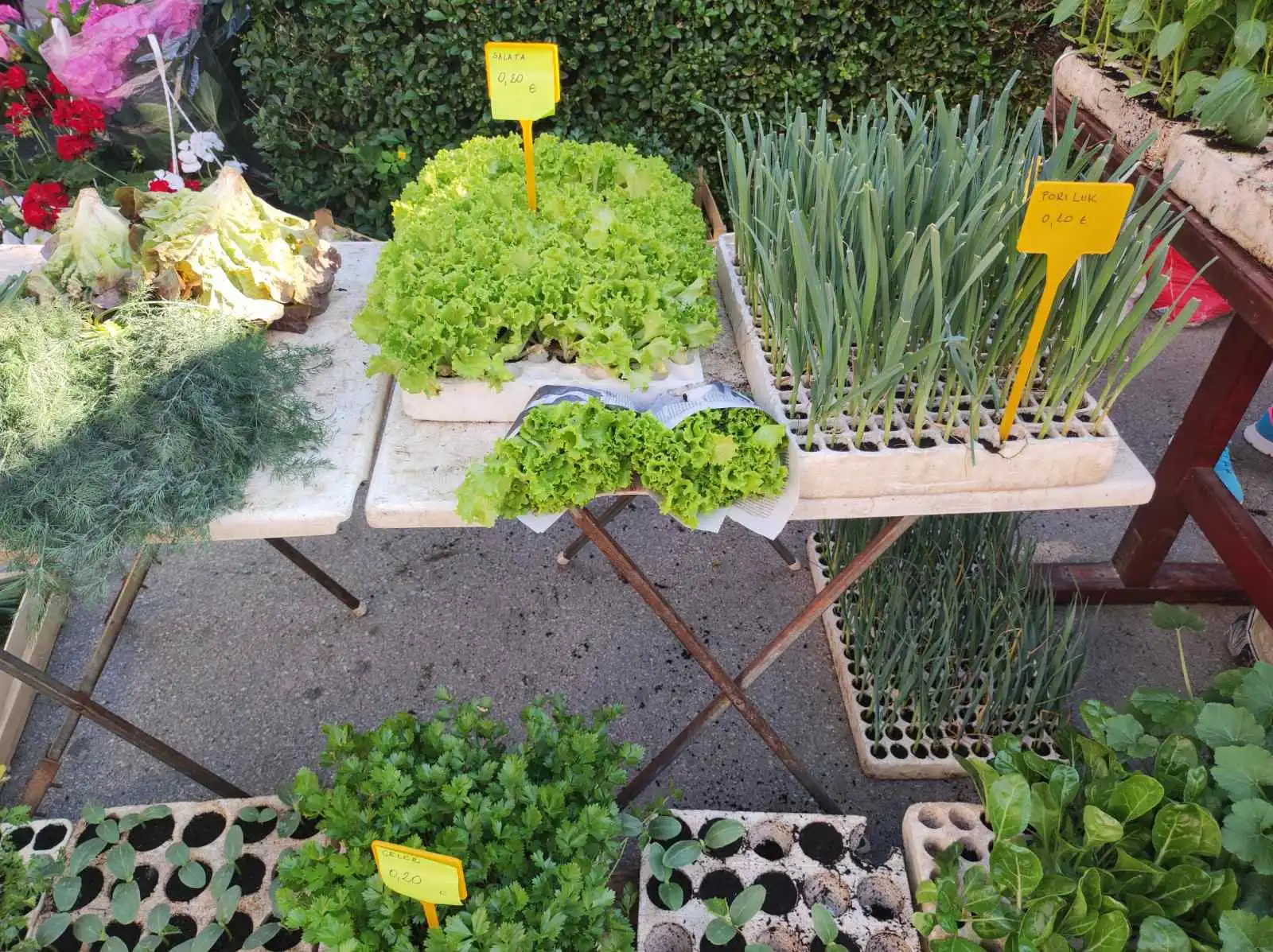 tržnica Prelog 11.5 (34)