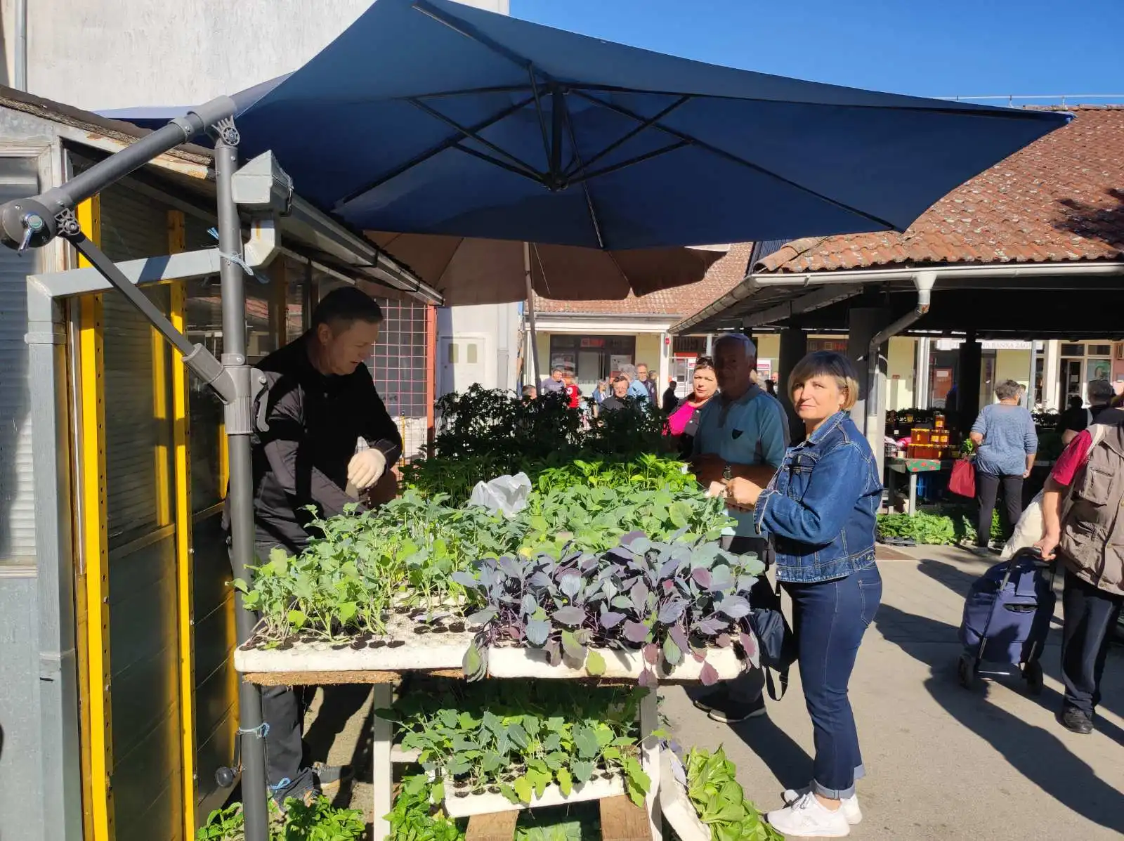 tržnica Prelog 11.5 (40)