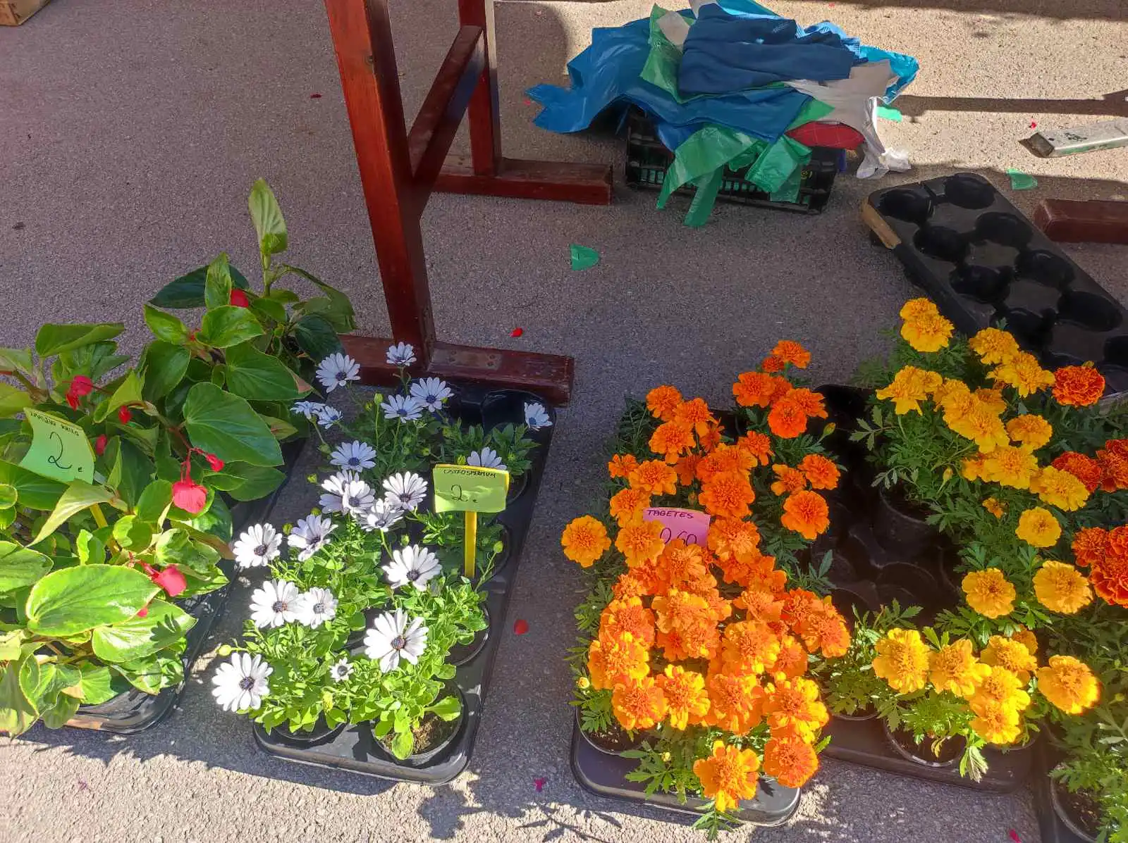 tržnica Prelog 11.5 (43)