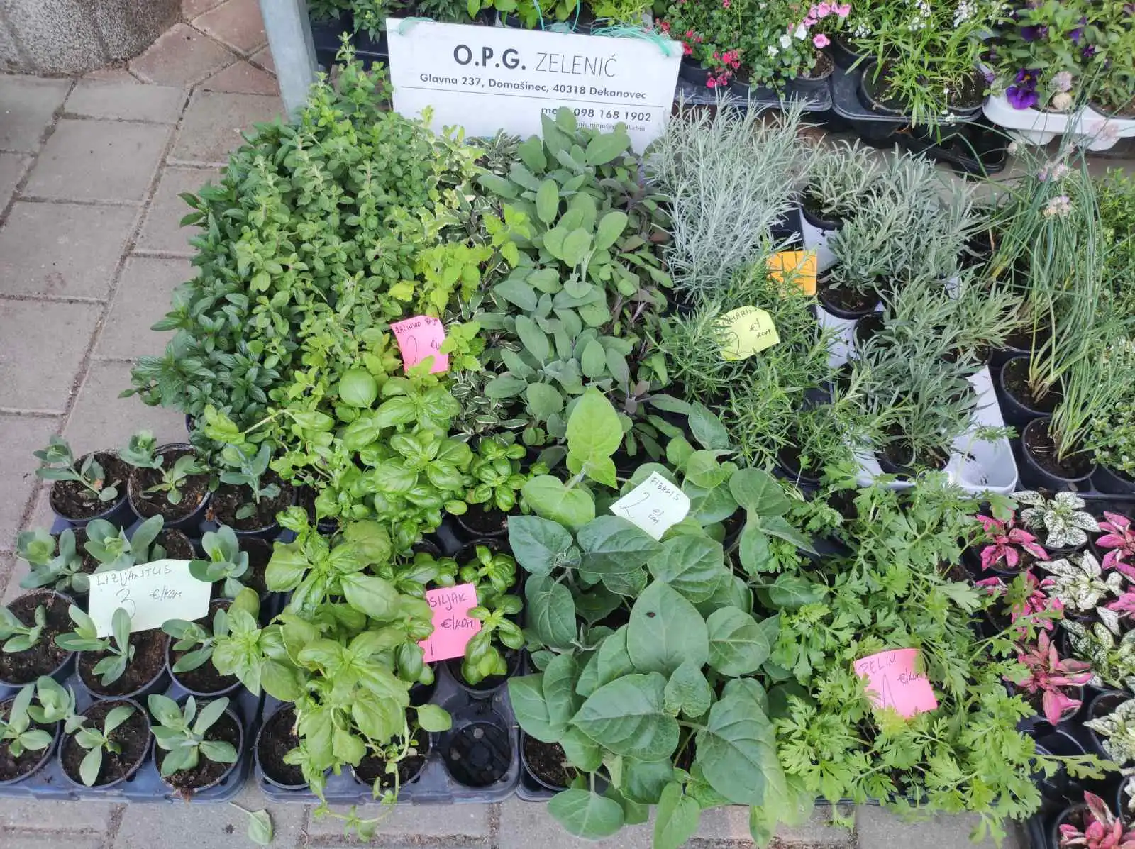 tržnica Prelog 11.5 (5)