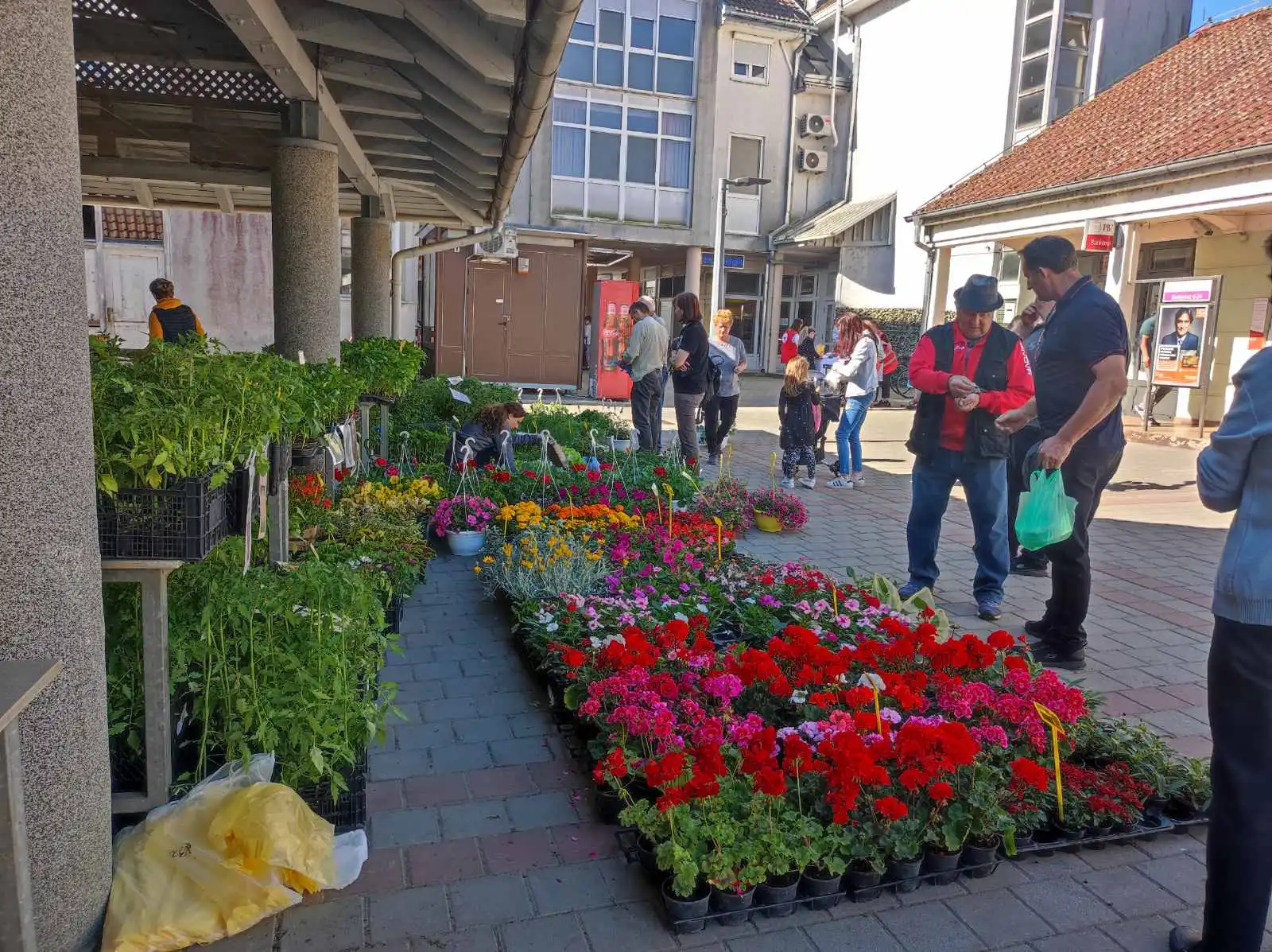 tržnica Prelog 11.5 (8)