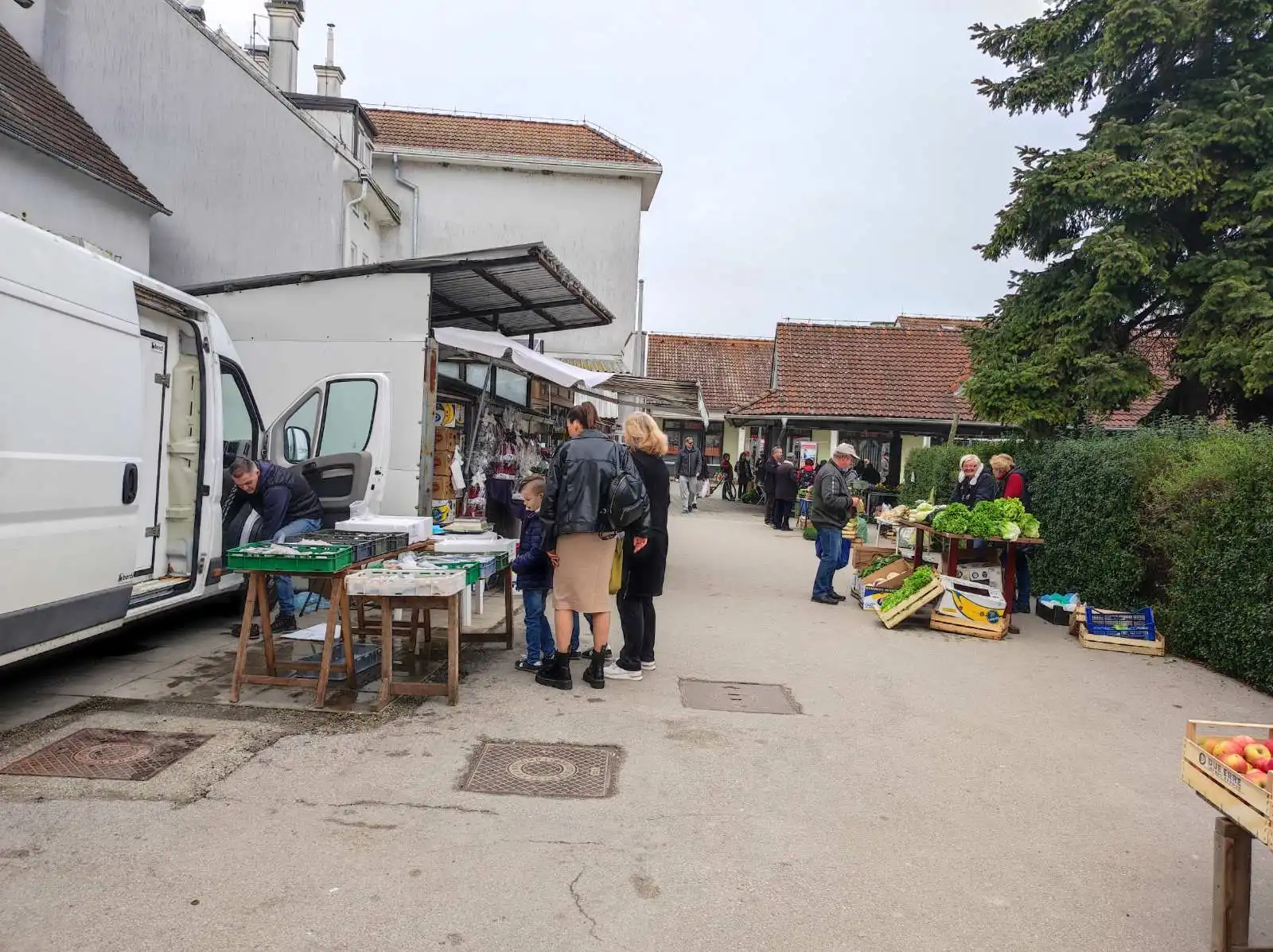 tržnica, Prelog, 16.3.2024 (11) tržnica, Prelog, 16.3.2024 (11)