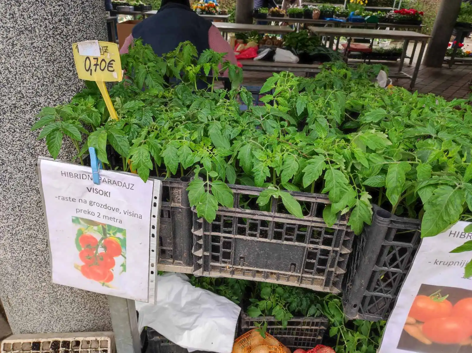 tržnica, Prelog, 16.3.2024 (23) tržnica, Prelog, 16.3.2024 (23)