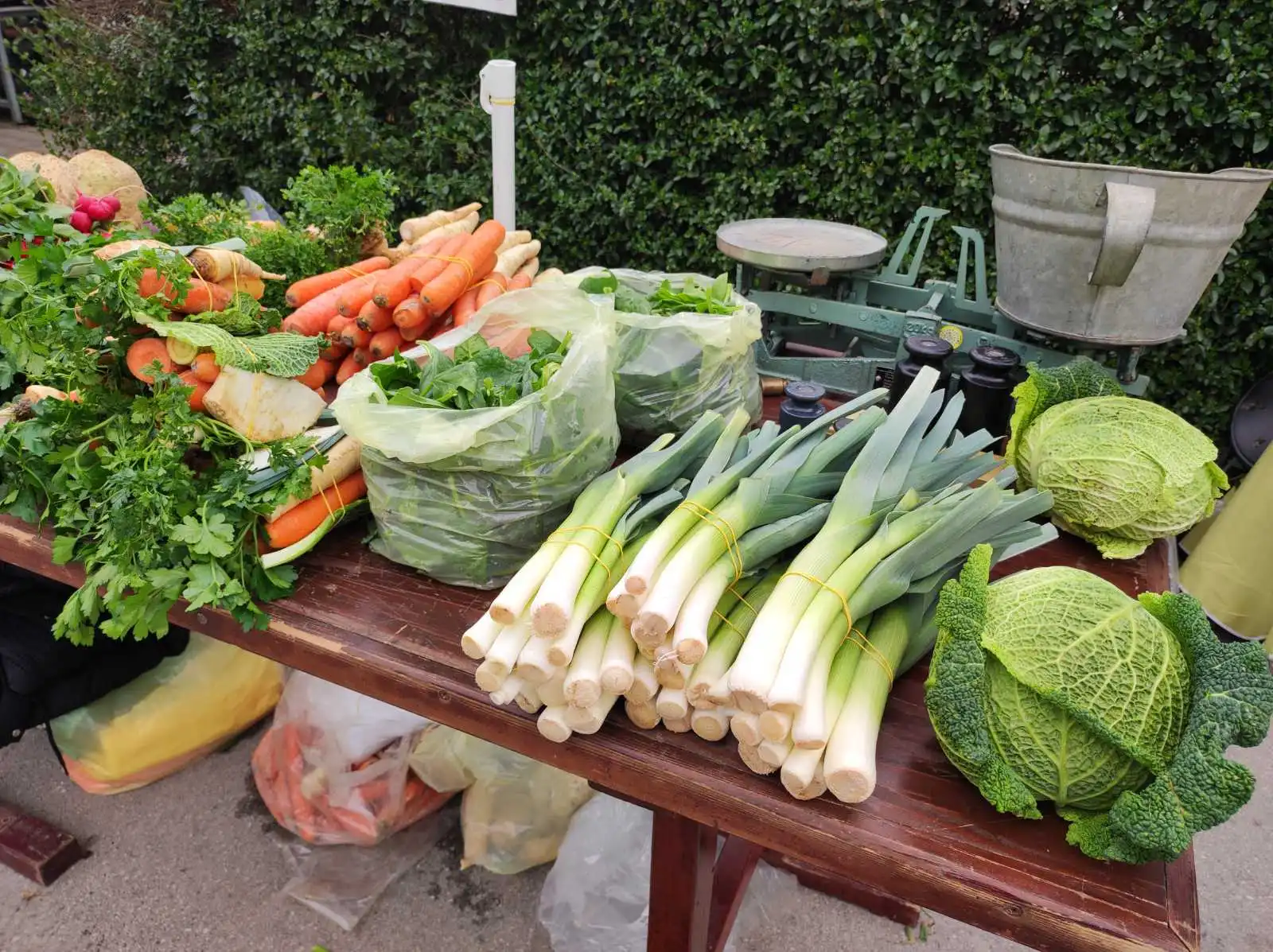 tržnica, Prelog, 16.3.2024 (27) tržnica, Prelog, 16.3.2024 (27)