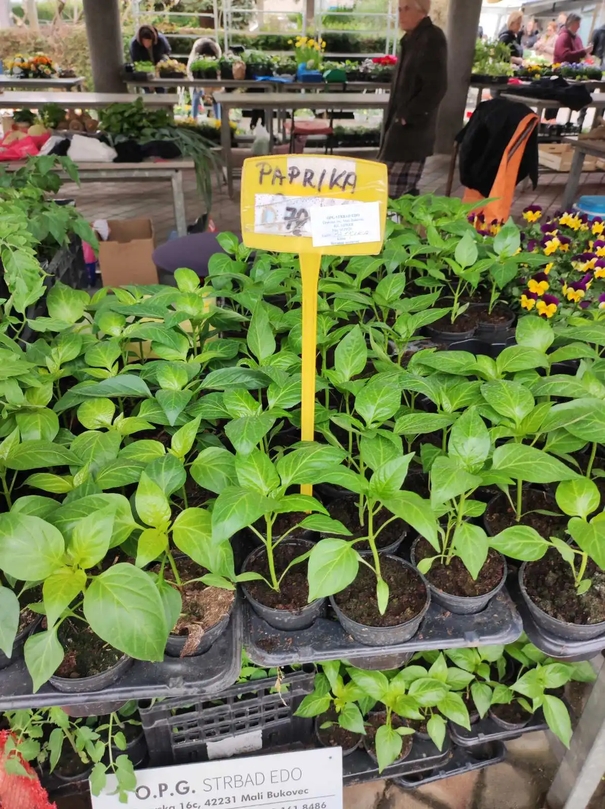 tržnica, Prelog, 16.3.2024 (28) tržnica, Prelog, 16.3.2024 (28)