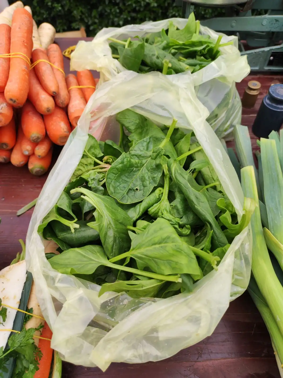 tržnica, Prelog, 16.3.2024 (35) tržnica prelog, 16.3.2024.