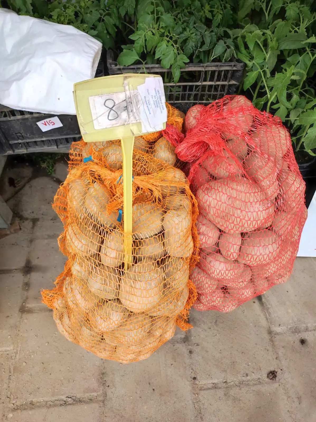 tržnica, Prelog, 16.3.2024 (4) tržnica, Prelog, 16.3.2024 (4)