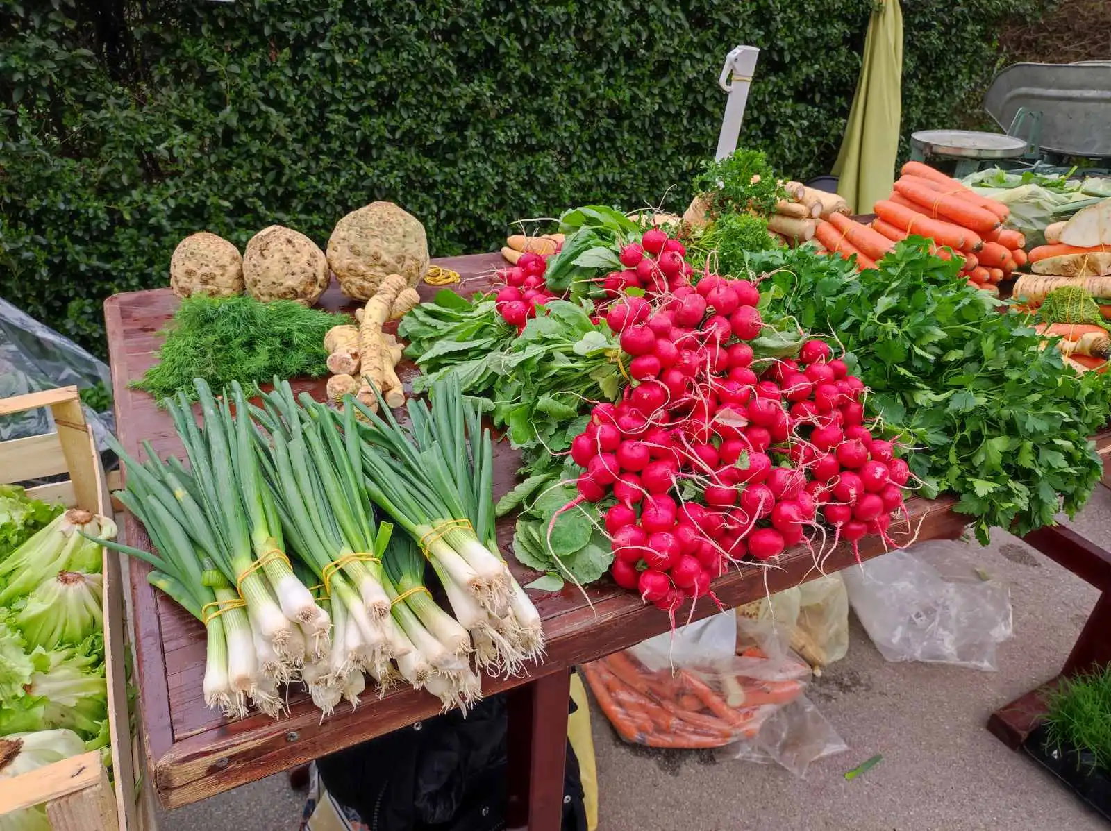 tržnica, Prelog, 16.3.2024 (7) tržnica, Prelog, 16.3.2024 (7)