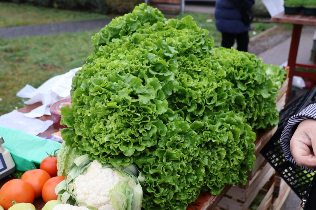 tržnica Prelog 2312 (41)