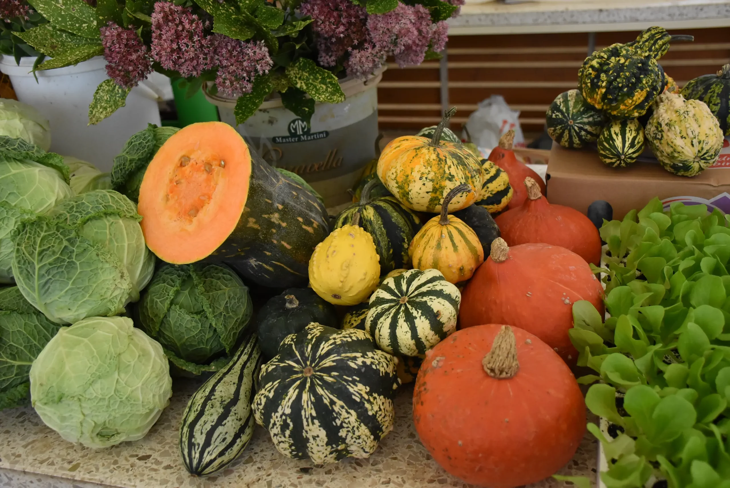 tržnica čakovec 27.9.2024 (29)