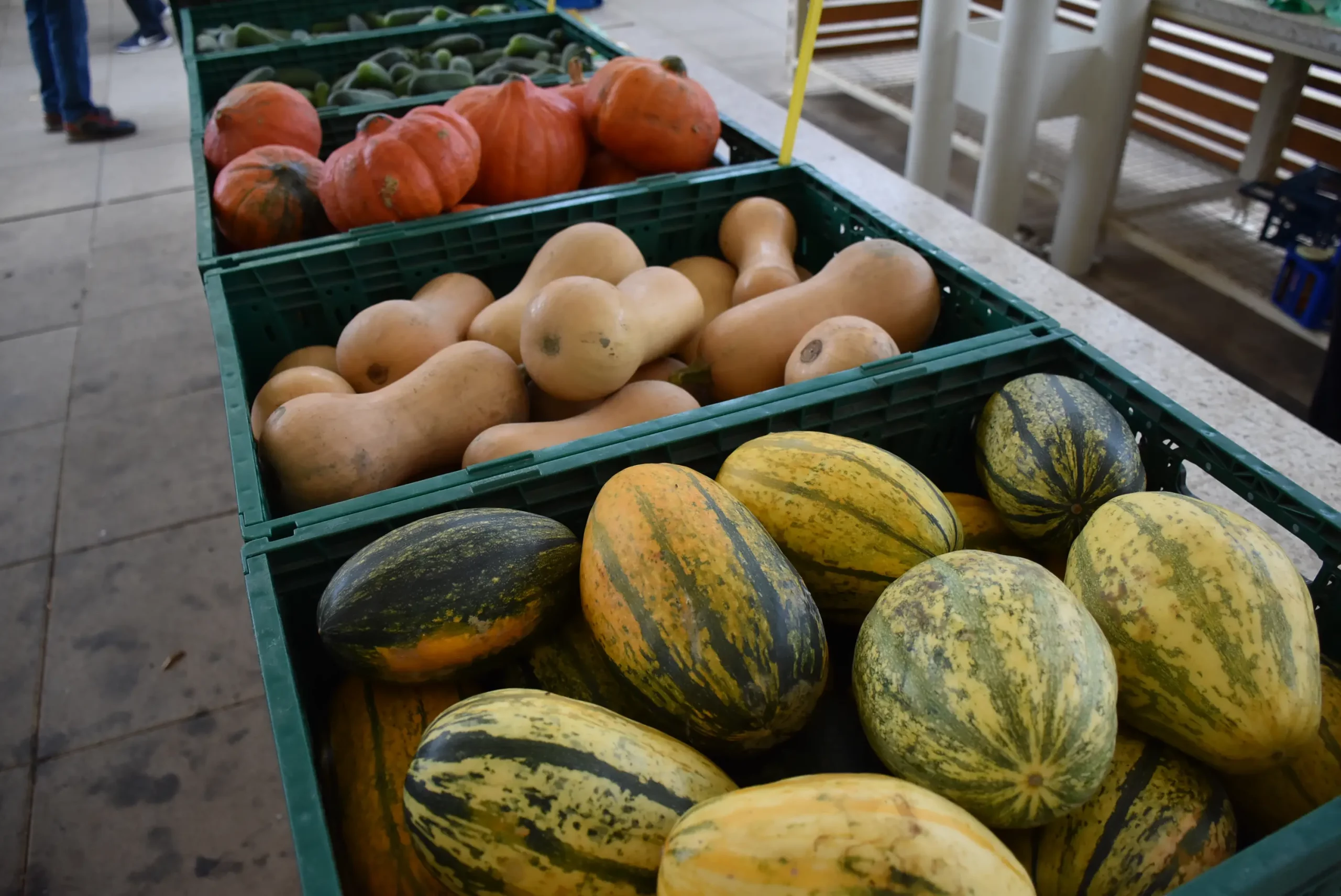 tržnica čakovec 27.9.2024 (30)