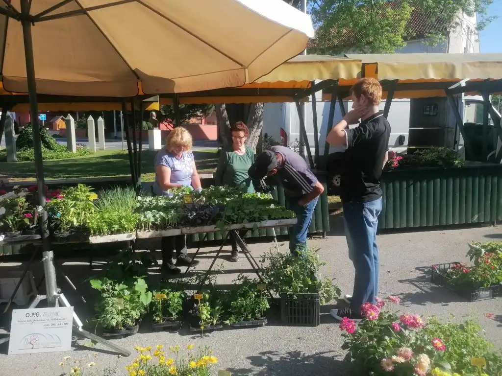 trznica mursko sredisce (11) (Medium)