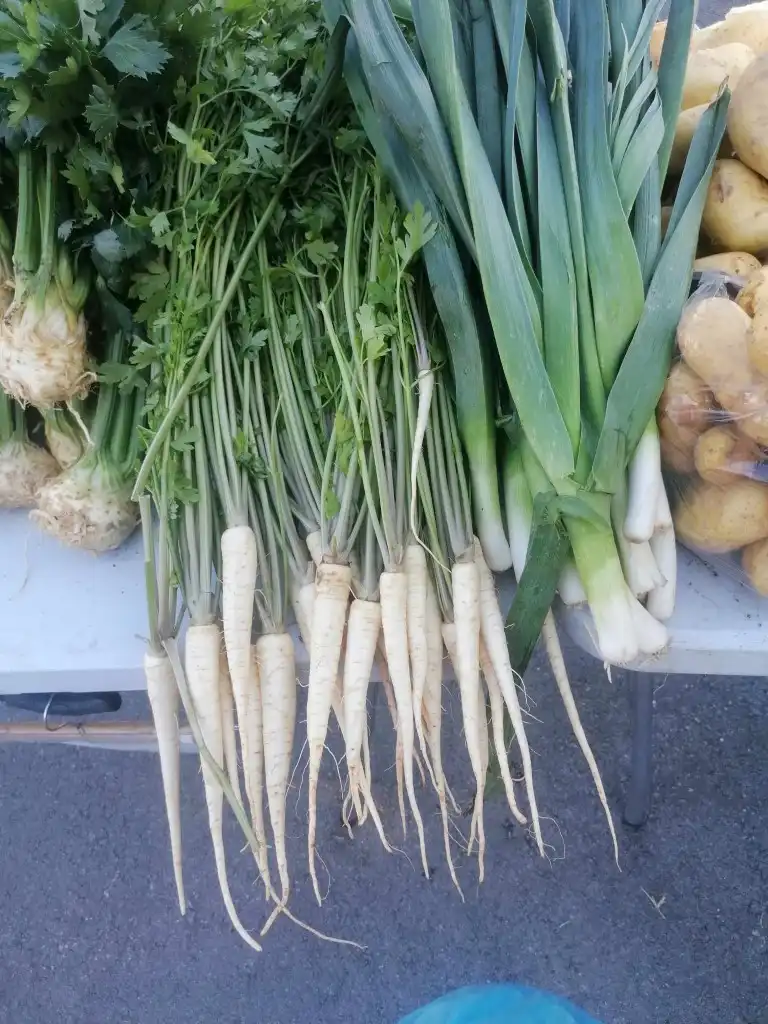 trznica mursko sredisce (12) (Medium)