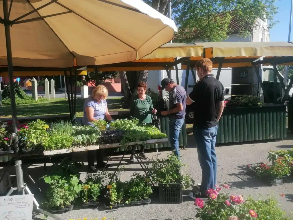 trznica mursko sredisce (16) (Medium)