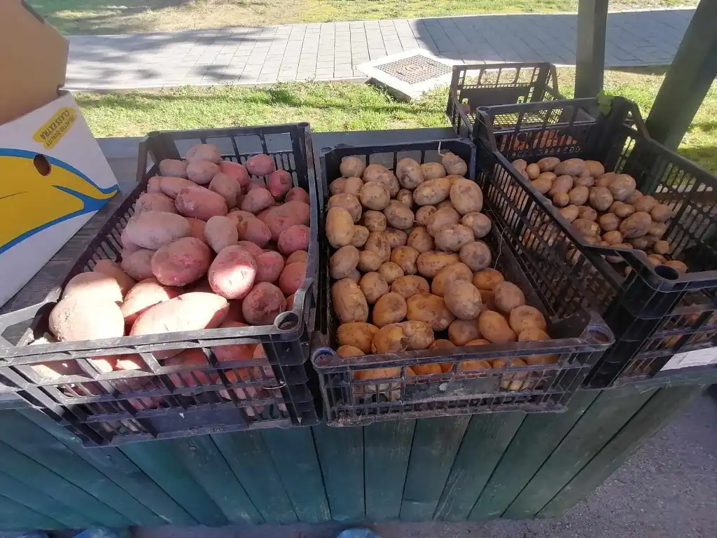 trznica mursko sredisce (17) (Medium)