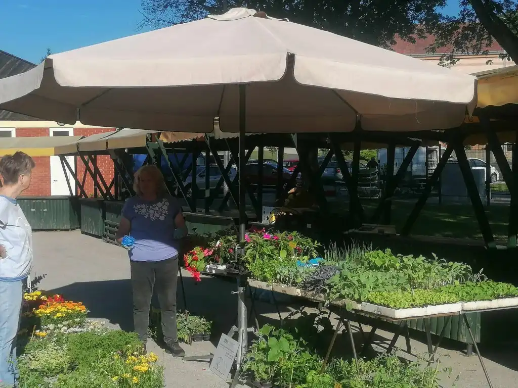 trznica mursko sredisce (27) (Medium)