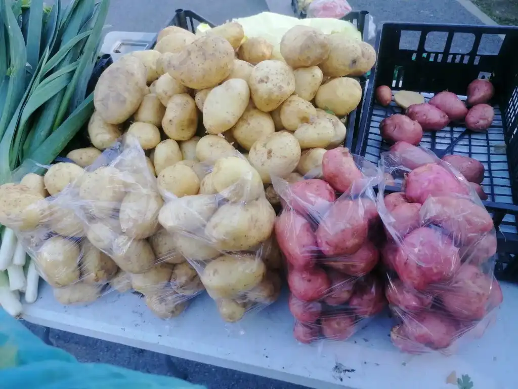 trznica mursko sredisce (28) (Medium)