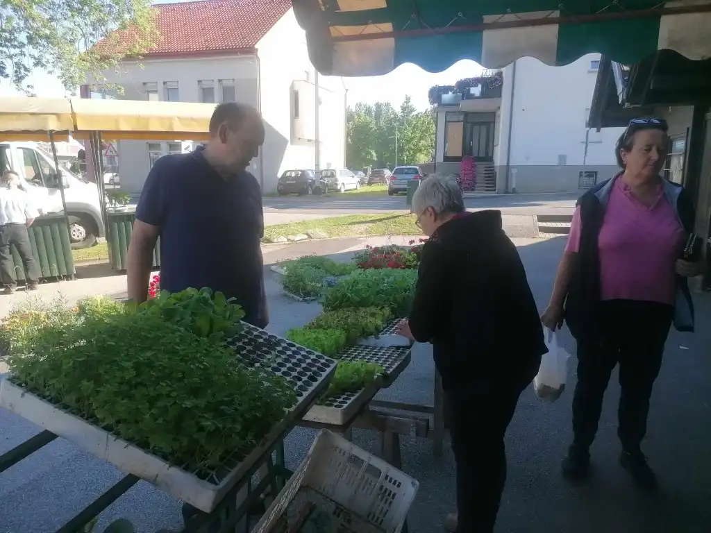 trznica mursko sredisce (6) (Medium)