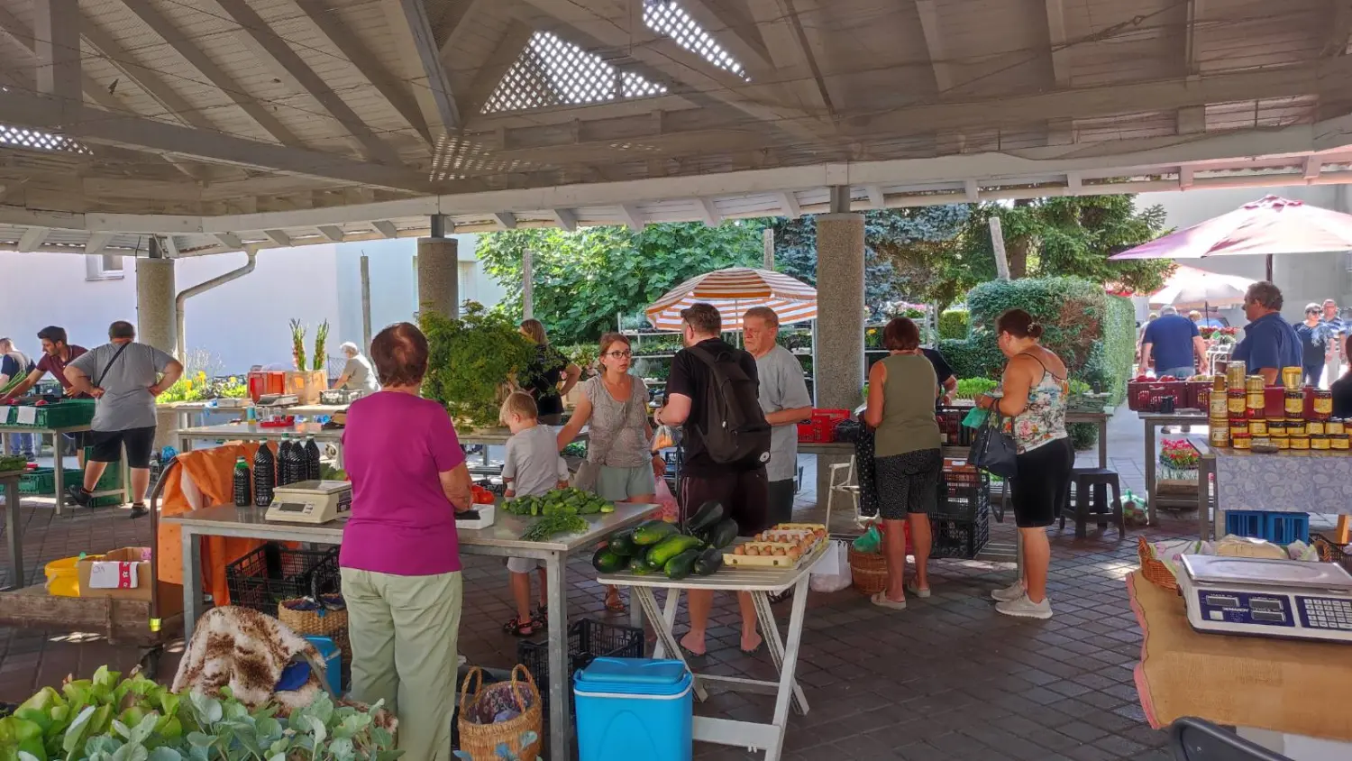 tržnica prelog 13.7.2024 (13) tržnica prelog 13.7.2024 (13)