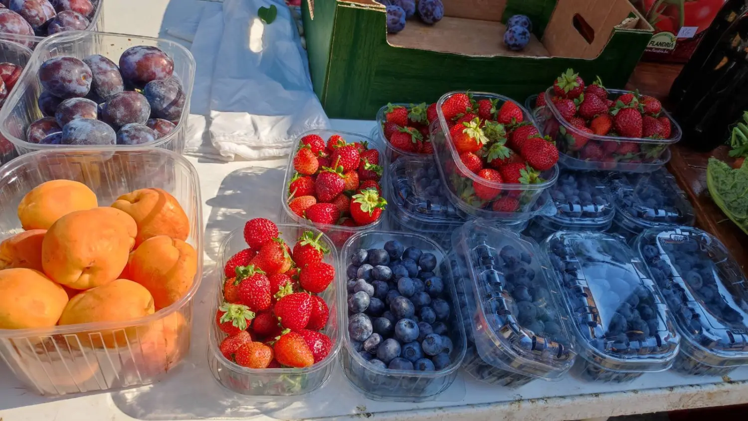 tržnica prelog 13.7.2024 (14) tržnica prelog 13.7.2024 (14)