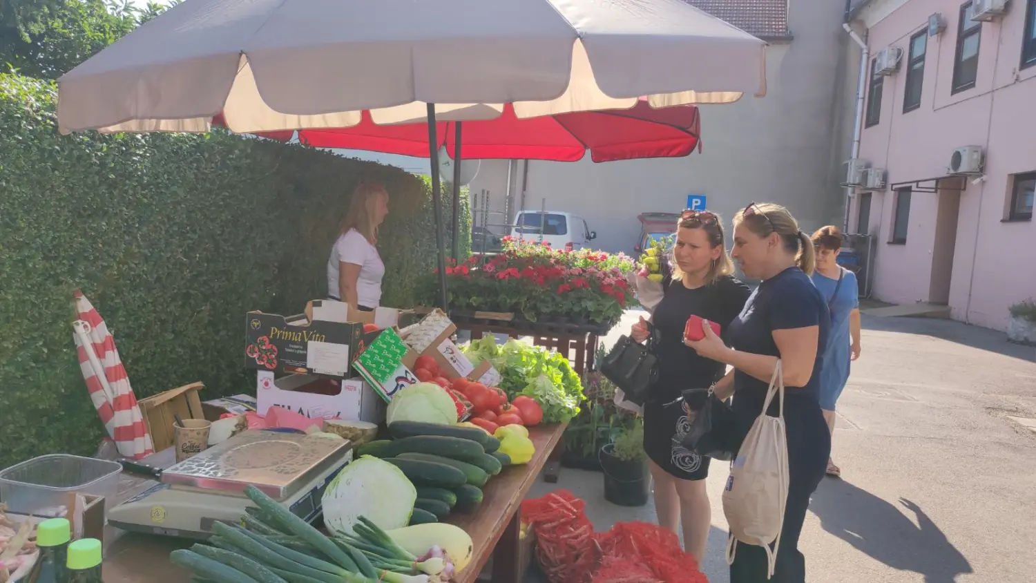 tržnica prelog 13.7.2024 (15) tržnica prelog 13.7.2024 (15)