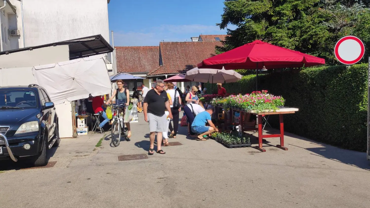 tržnica prelog 13.7.2024 (16) tržnica prelog 13.7.2024 (16)