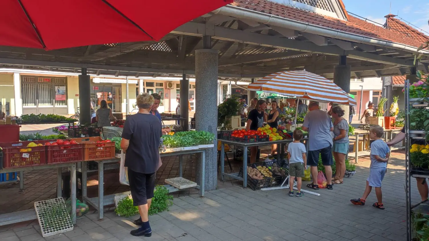 tržnica prelog 13.7.2024 (18) tržnica prelog 13.7.2024 (18)