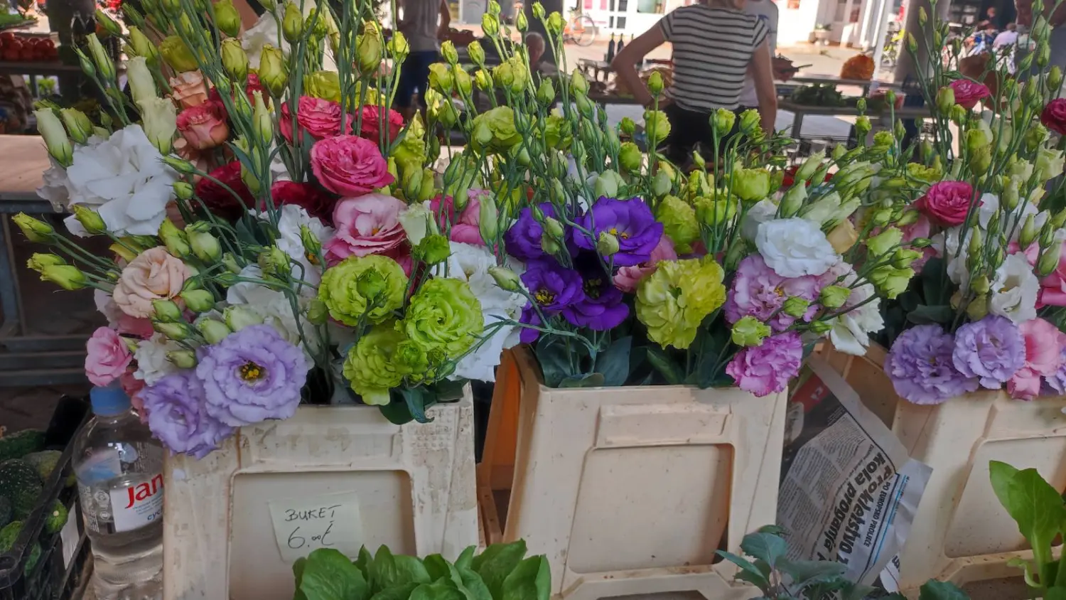 tržnica prelog 13.7.2024 (29) tržnica prelog 13.7.2024 (29)