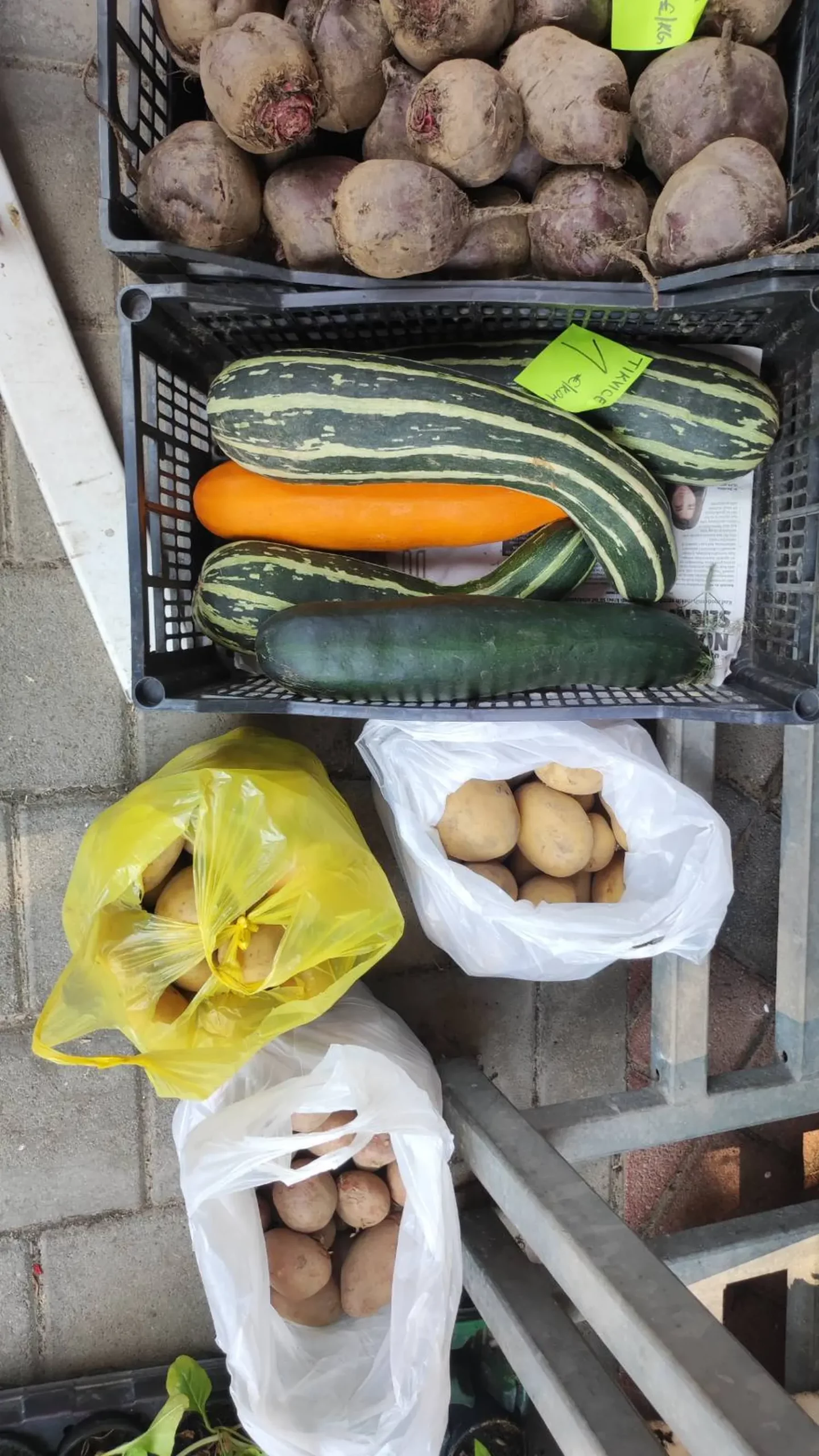 tržnica prelog 13.7.2024 (31) tržnica prelog 13.7.2024 (31)