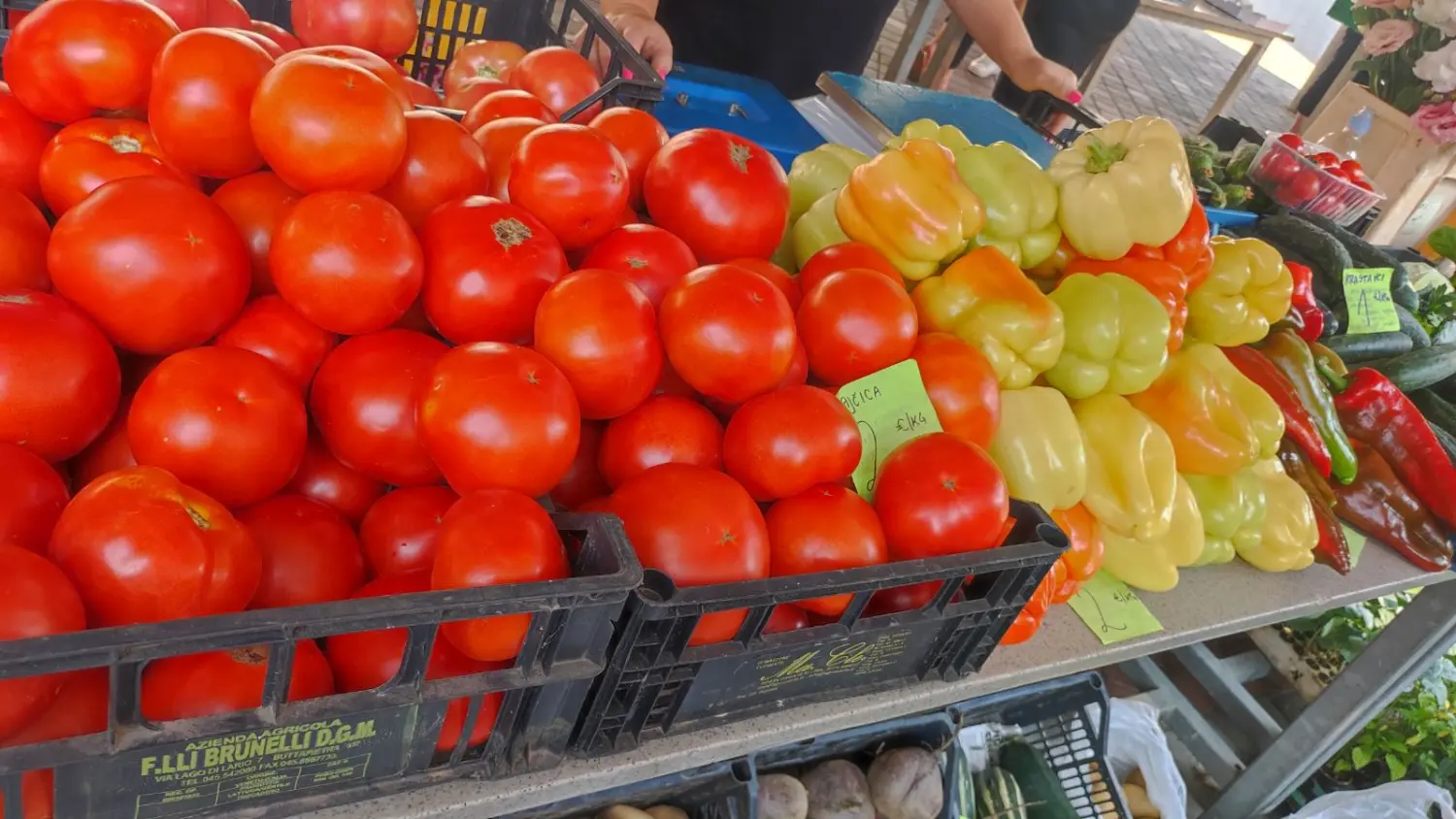 tržnica prelog 13.7.2024 (38) tržnica prelog 13.7.2024 (38)