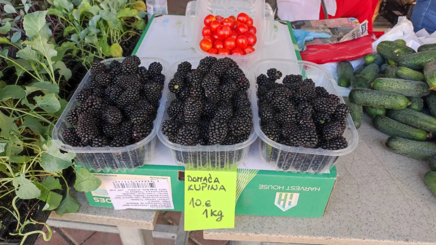 tržnica prelog 13.7.2024 (40) tržnica prelog 13.7.2024 (40)