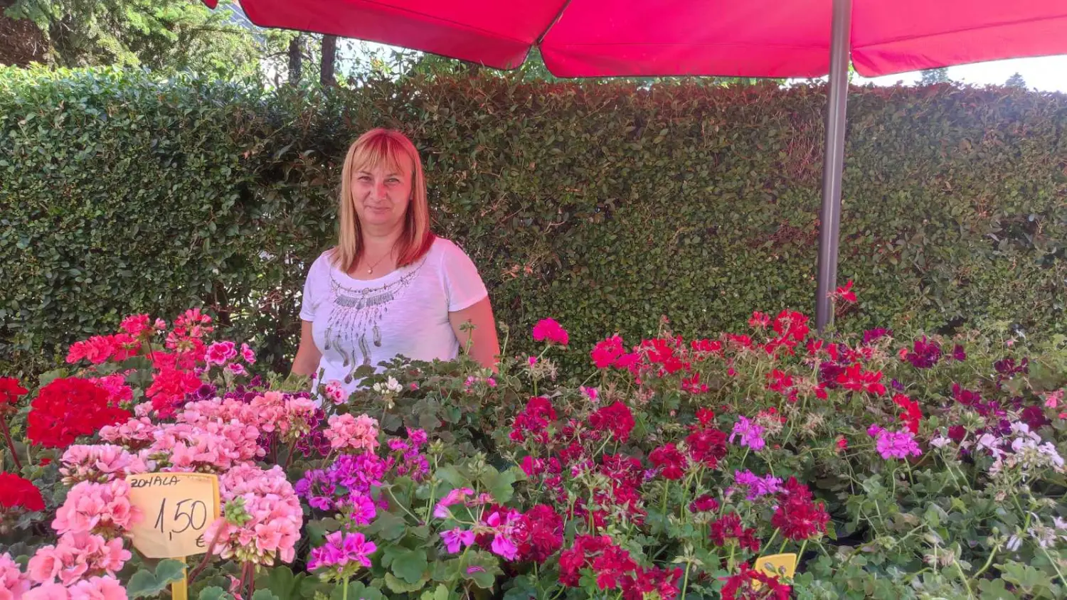 tržnica prelog 13.7.2024 (44) tržnica prelog 13.7.2024 (44)