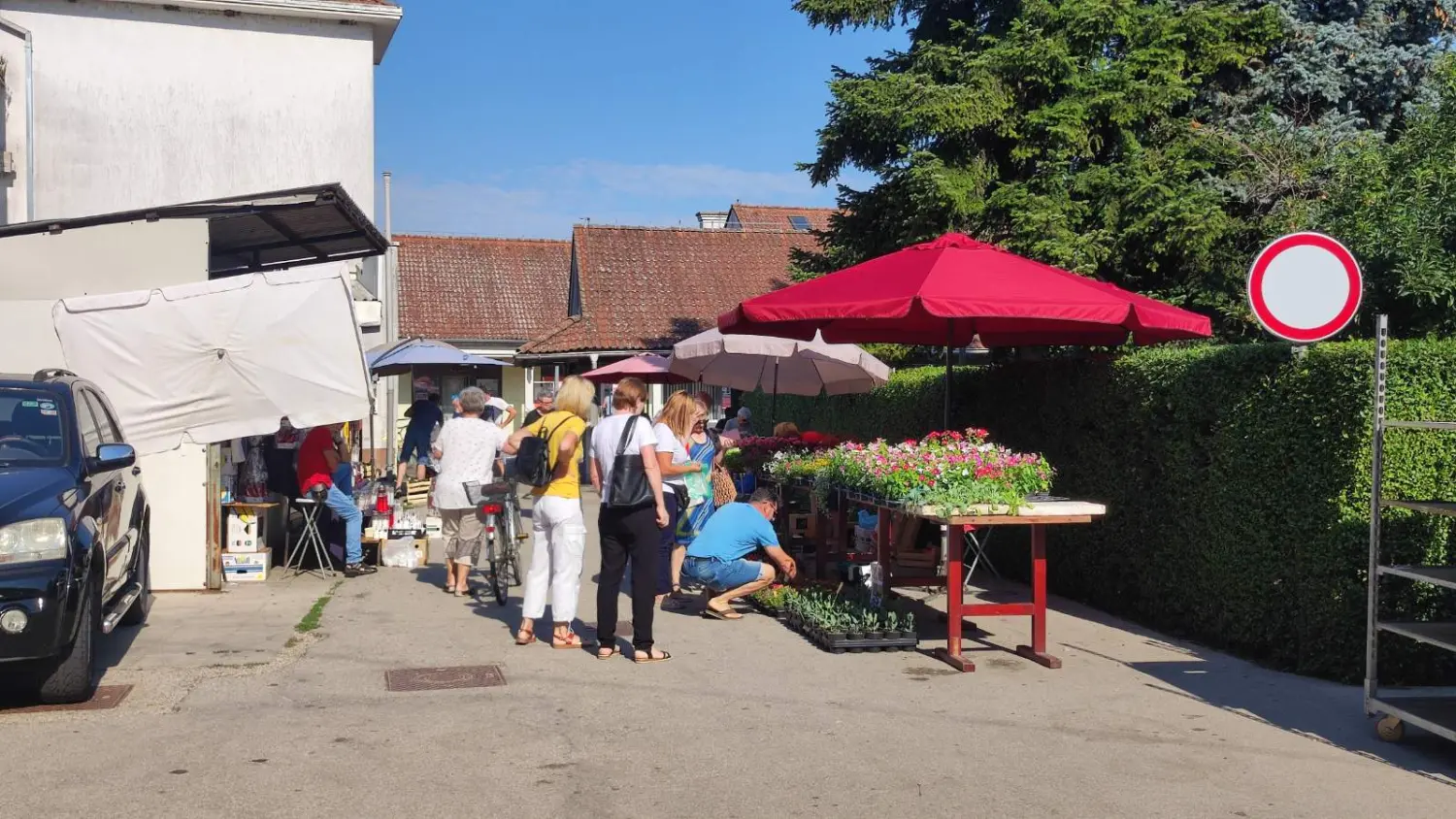 tržnica prelog 13.7.2024 (45) tržnica prelog 13.7.2024 (45)