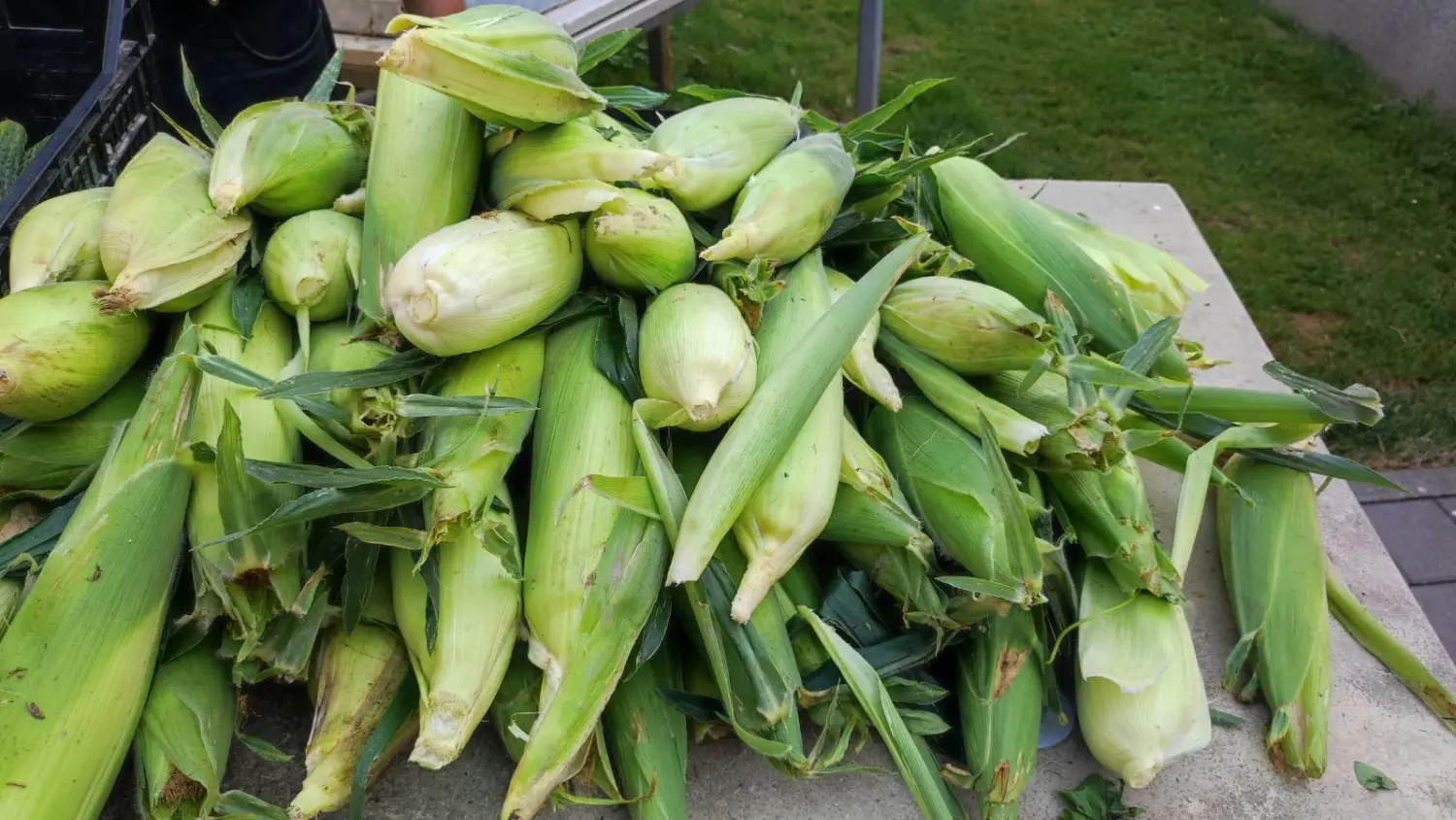 tržnica prelog 13.7.2024 (5) tržnica prelog 13.7.2024 (5)