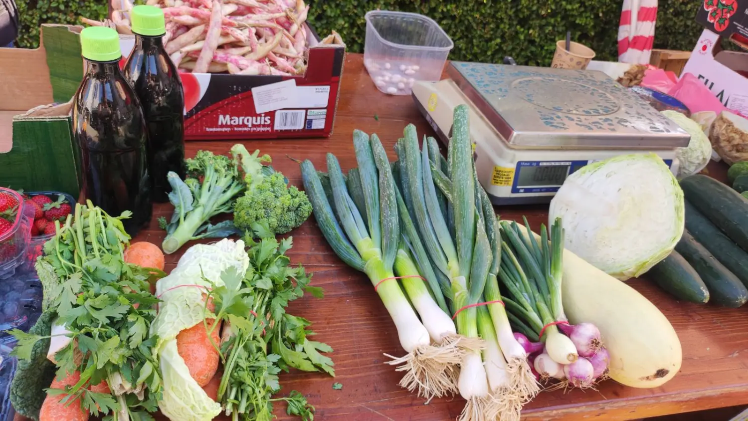 tržnica prelog 13.7.2024 (8) tržnica prelog 13.7.2024 (8)