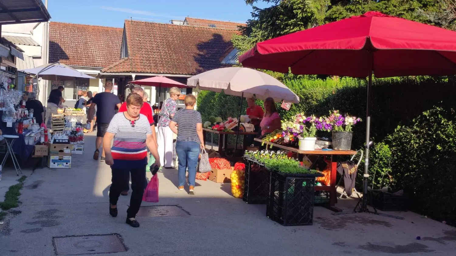 tržnica prelog 7.9.2024 (11) tržnica prelog 7.9.2024 (11)