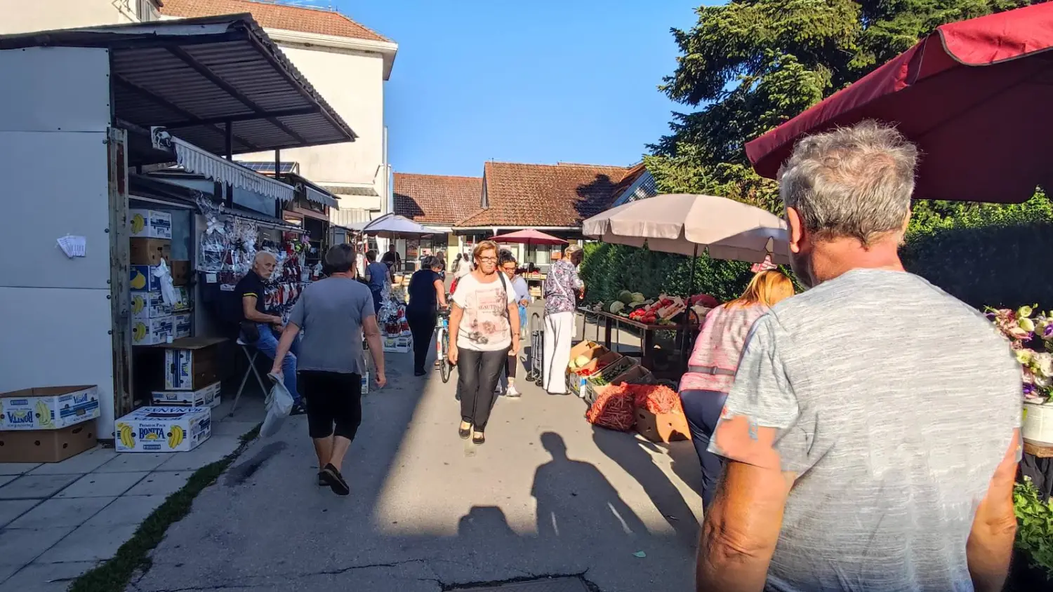 tržnica prelog 7.9.2024 (14) tržnica prelog 7.9.2024 (14)