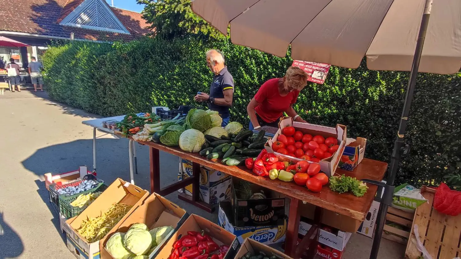 tržnica prelog 7.9.2024 (20) tržnica prelog 7.9.2024 (20)