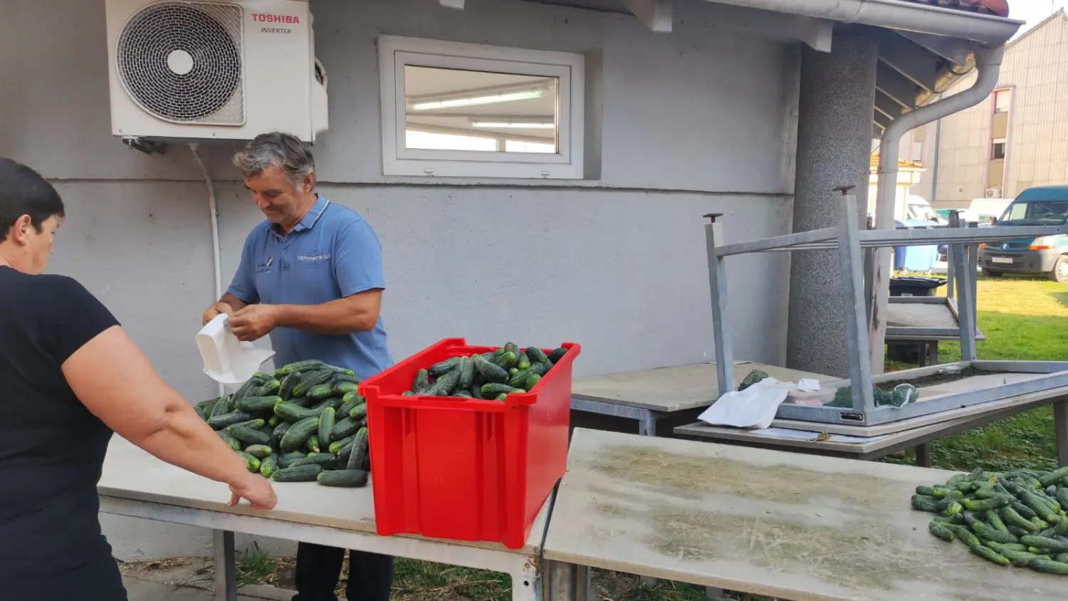 tržnica prelog 7.9.2024 (24) tržnica prelog 7.9.2024 (24)