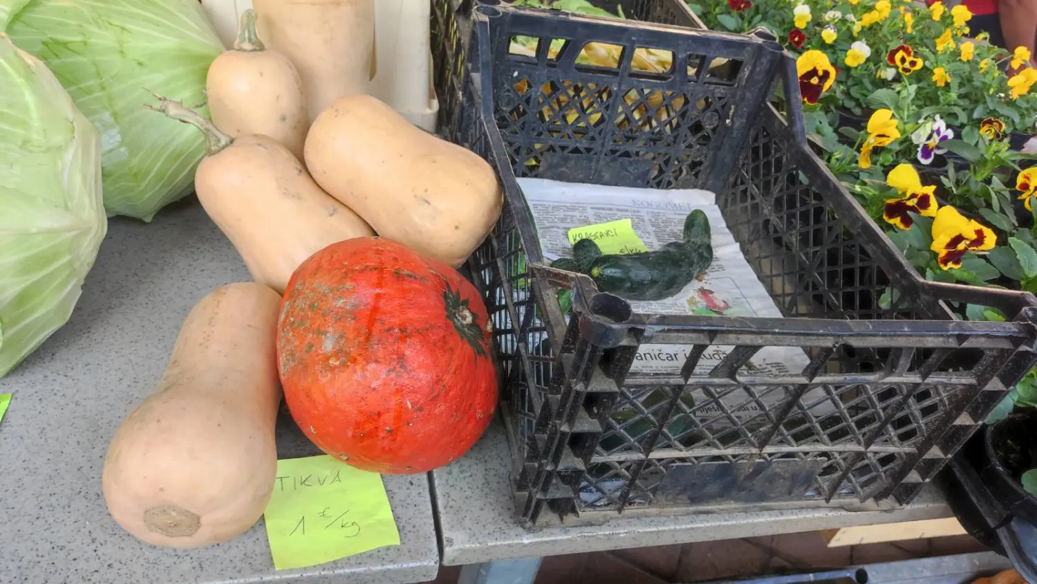 tržnica prelog 7.9.2024 (34) tržnica prelog 7.9.2024 (34)