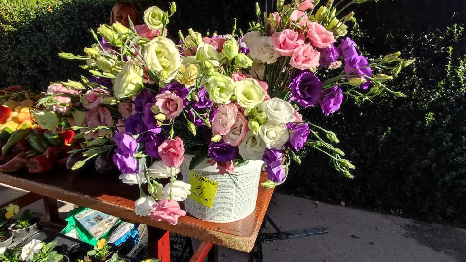 tržnica prelog 7.9.2024 (4) tržnica prelog 7.9.2024 (4)