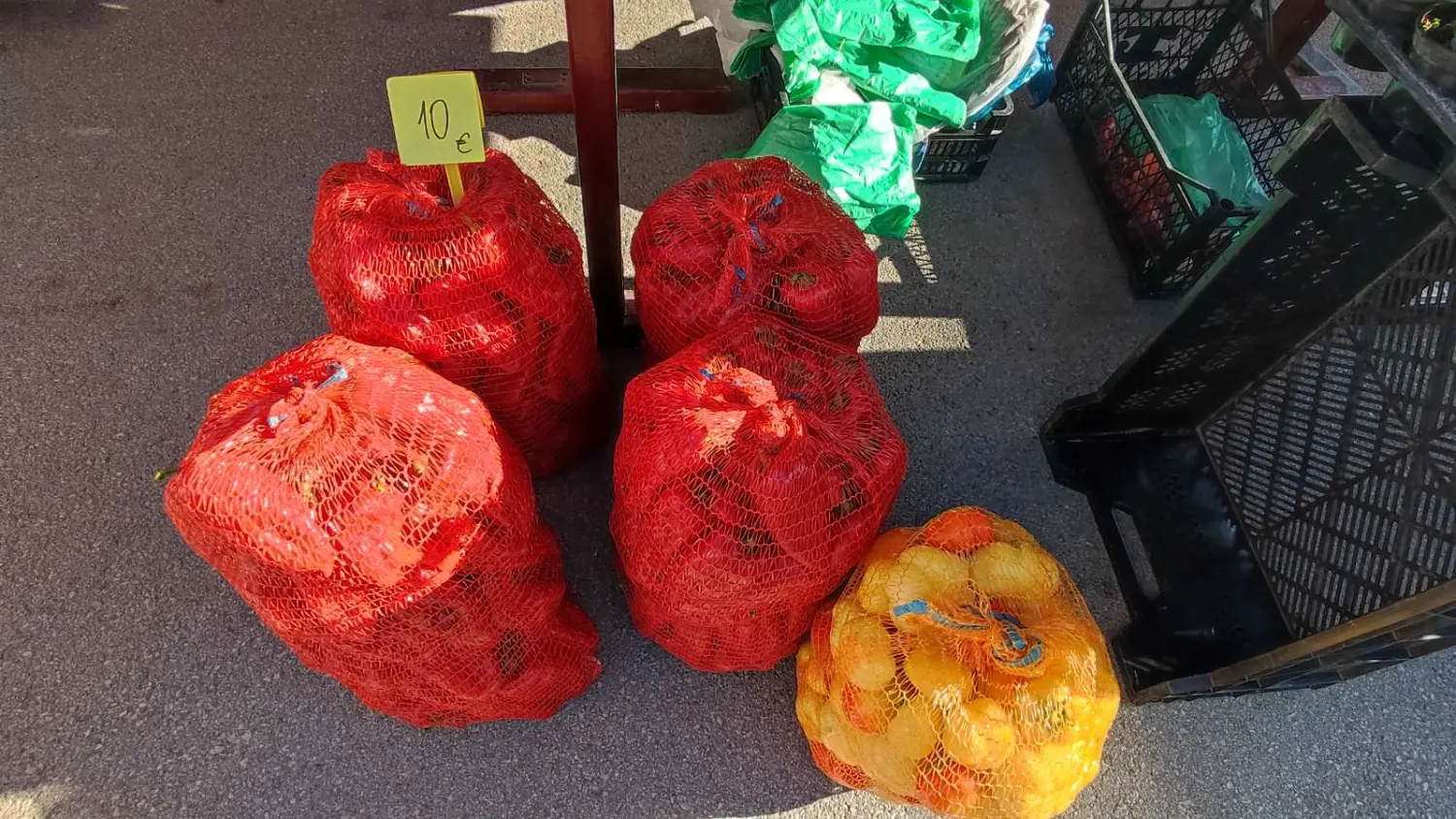 tržnica prelog 7.9.2024 (7) tržnica prelog 7.9.2024 (7)