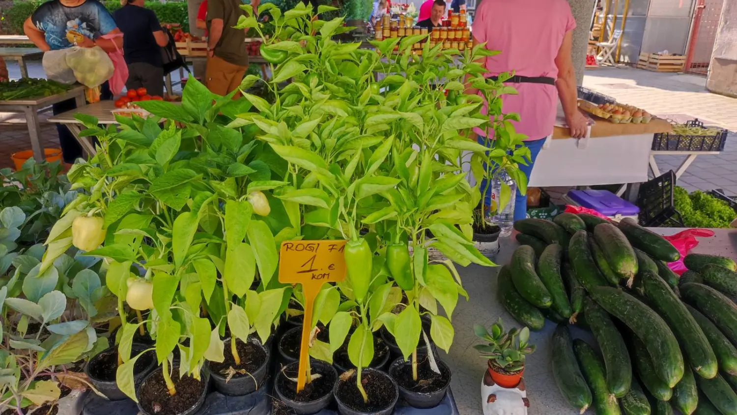 tržnica prelog,29.6 (20) tržnica prelog,29.6 (20)