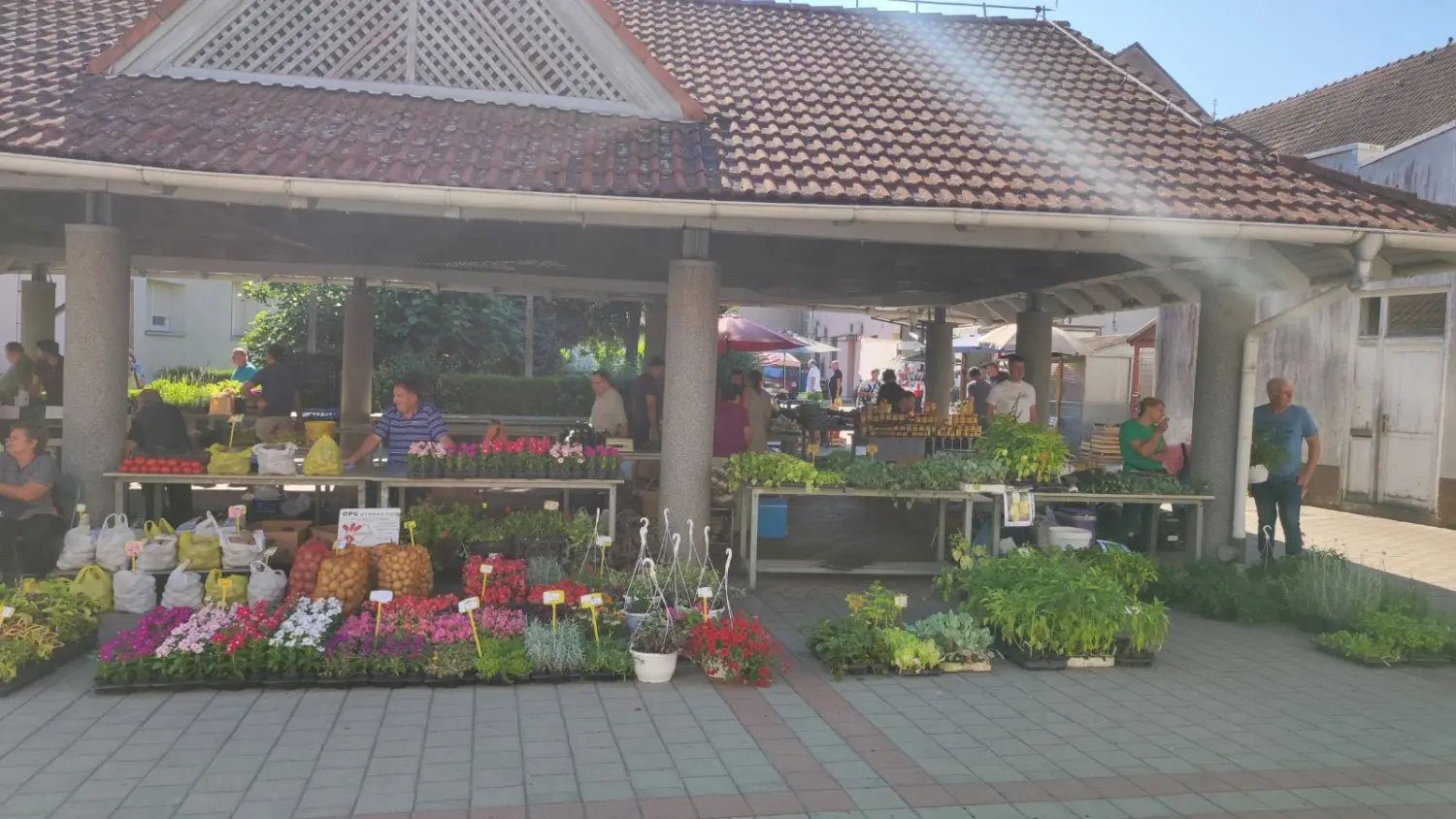 tržnica prelog,29.6 (21) tržnica prelog,29.6 (21)