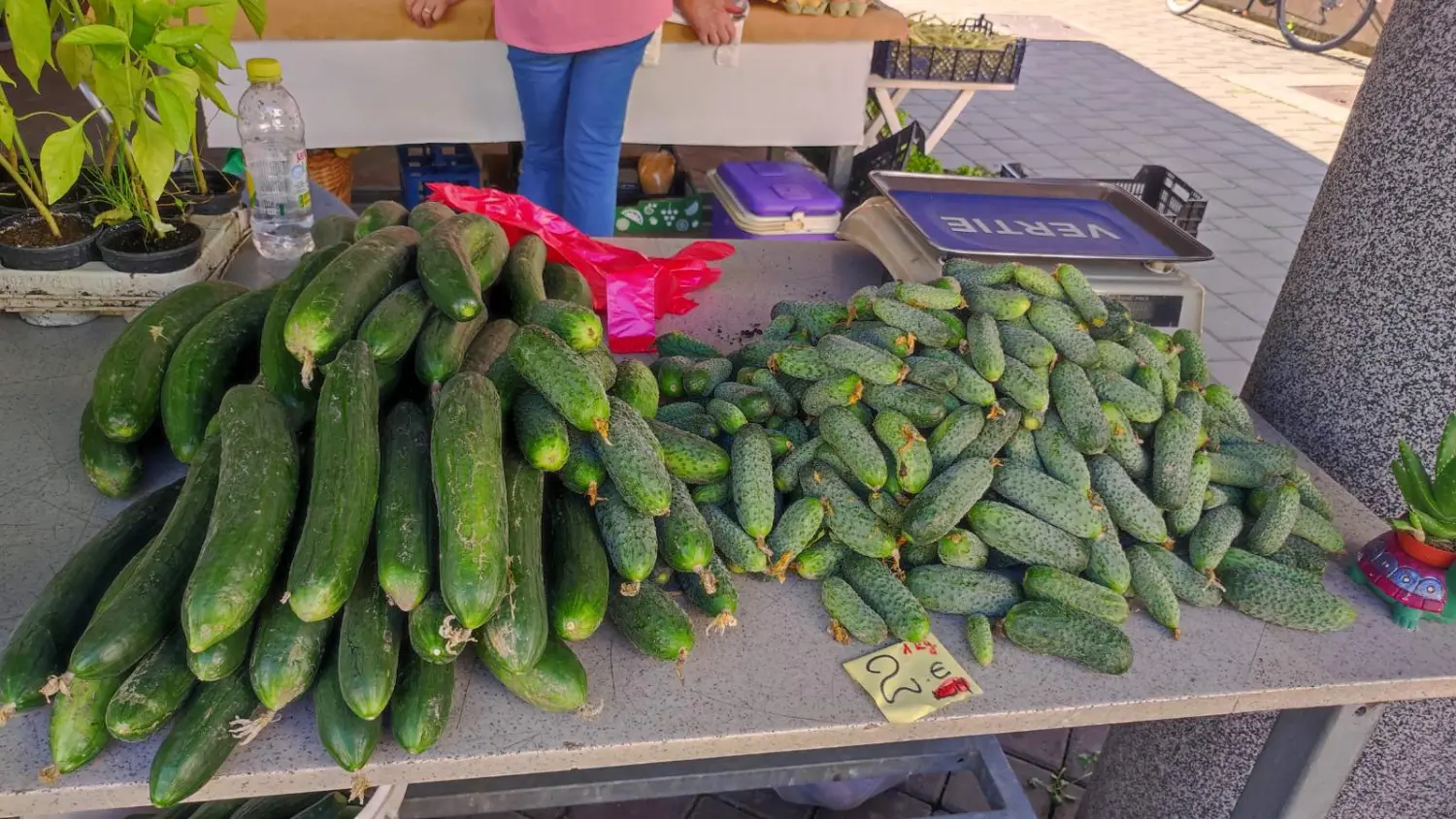 tržnica prelog,29.6 (22) tržnica prelog,29.6 (22)