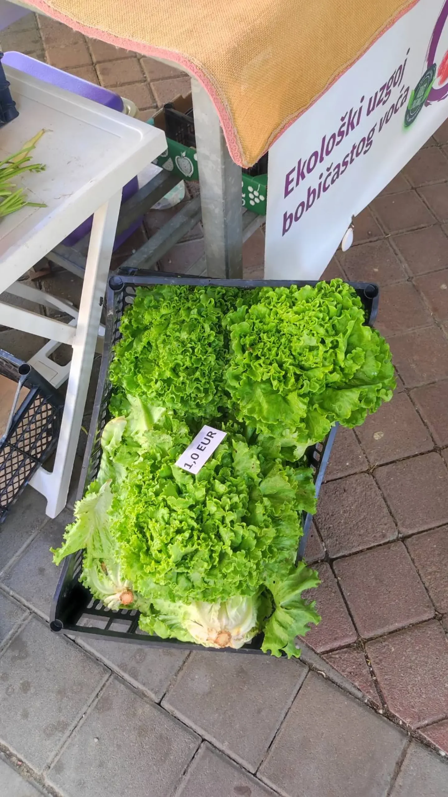 tržnica prelog,29.6 (23) tržnica prelog,29.6 (23)