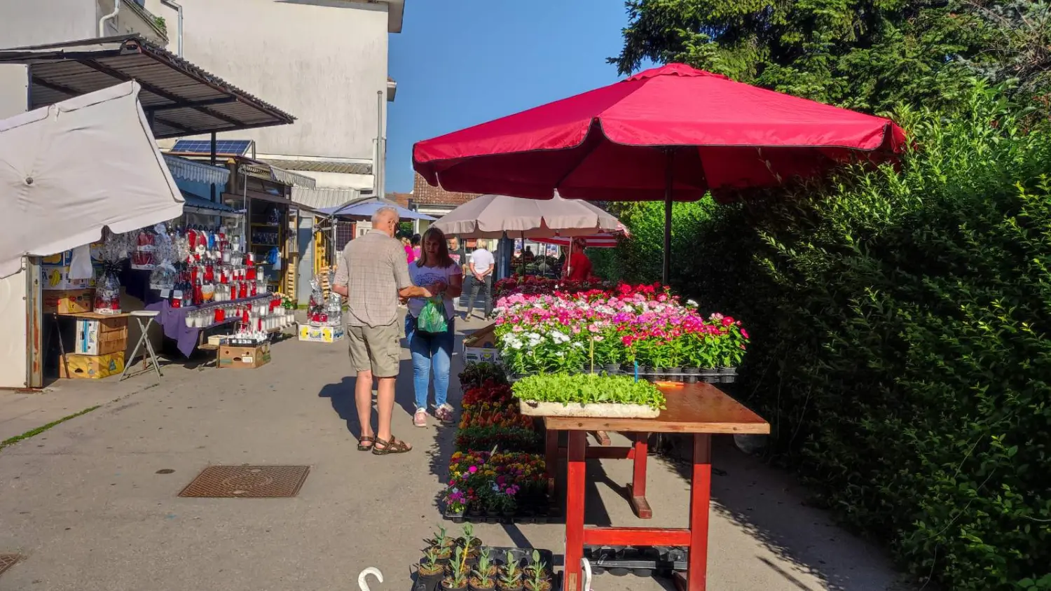 tržnica prelog,29.6 (27) tržnica prelog,29.6 (27)