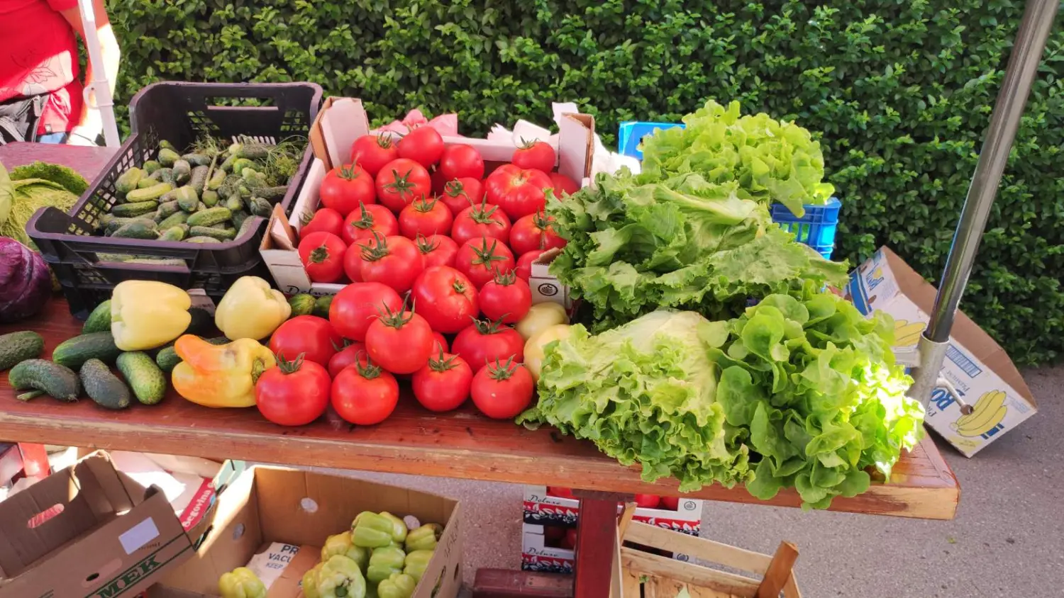 tržnica prelog,29.6 (29) tržnica prelog,29.6 (29)