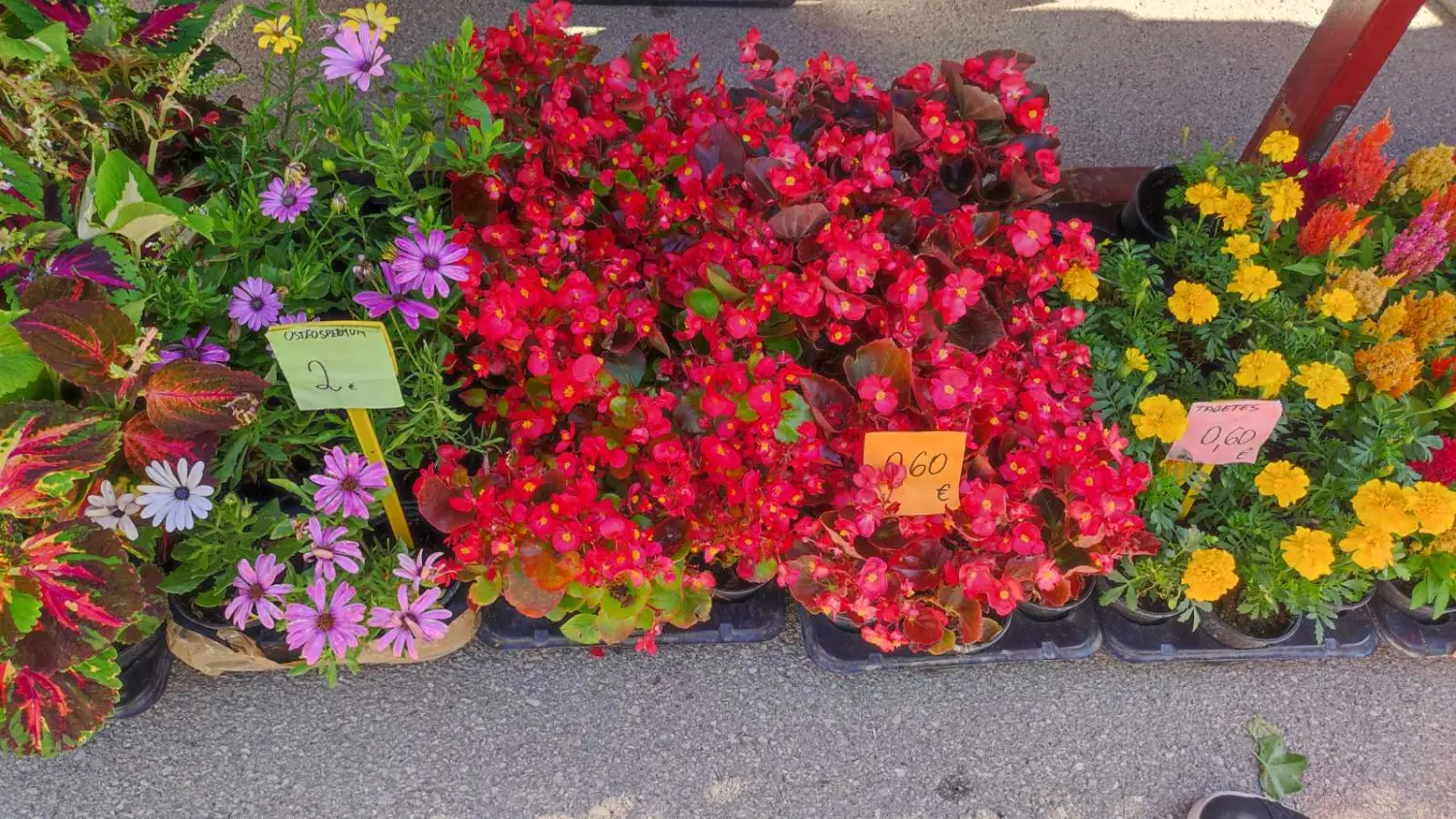 tržnica prelog,29.6 (3) tržnica prelog,29.6 (3)